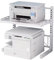 LUTODY - Estantería Organizador Multifuncional, 2 Niveles, Metal, con Ganchos Auxiliar, Microondas, Tostadora, Impresora, Escáner para hogar, Casa, Oficina, Despacho, Multiuso (Blanco)