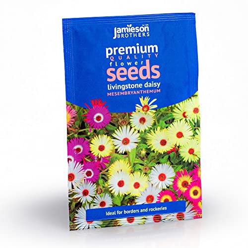 Jamieson Brothers® Mesembryanthemum Livingstone Daisy Flower Seeds (Approx. 1600 Seeds) -Grow Beautiful Flowers at Home Or at The Allotment to Attract Pollinators and Add Colour and Fragrance