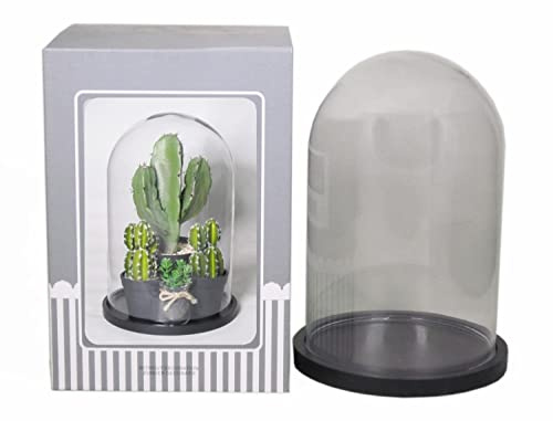 INNA-Glas Glasglocke SABIKA mit schwarzen Holzboden, klar, 25 cm, Ø 17,5 cm | Glassturz