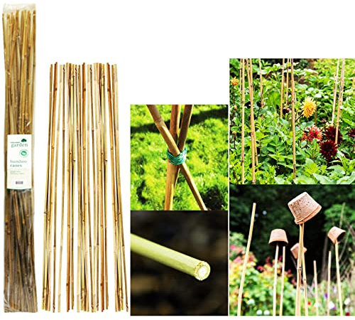 Nti 20 x KINGFISHER Bamboo Canes | Home | Garden | 120cm | Strong | Thick | Plant | 4FT Support Stick | DIY | Tie | Agriculture Plant Garden Supplies | Flexible | Gardening Craft UK FREE P&P