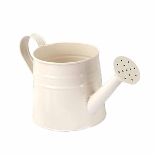 ＡＷＨＡＯ Mini Gießkanne Aus Metall für Die Dekoration Und Garten, Weiß