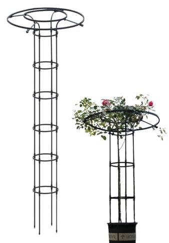 Enrejado Plantas Trepadoras,210cm Soporte Plantas Trepadoras, Exterior jardín Soporte Decorativo, Soporte Decorativo para Plantas Trepadoras, Enrejados de Obelisco para Todo Tipo de Plantas trepadoras