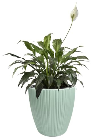 B2C Flowerpot Ridged Planter with removable insert Indoor Outdoor Modern Vertical grooves textured for home office patio garden decoration (Sage, W40cm x H40cm)