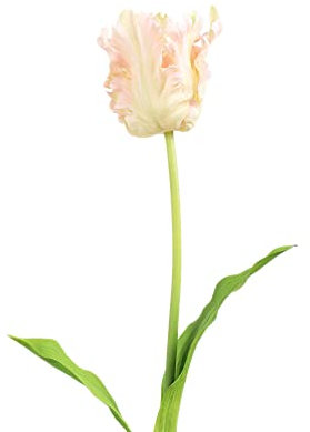 MIGUOR Künstlicher Papageien-Tulpe, künstliche Blume, Brautstrauß, Haus, Garten, Hochzeit, Party, Dekoration (6-Parrot Tulpe, Rosa, 27,5)