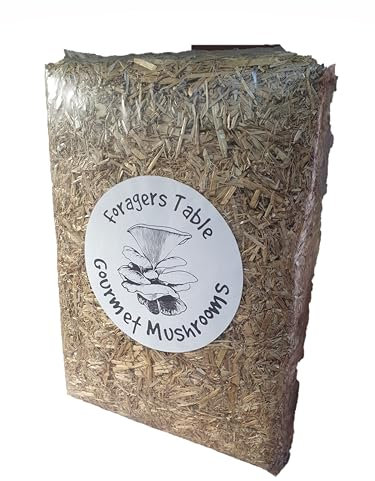 Mushroom Log Straw Bale Growing Substrate Grow Your own Mushroom