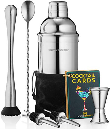 Set di shaker per cocktail e bevande, set da barista portatile da 8 pezzi, con 24 oz Martini Shaker Barware Tools, 2 beccucci, muddler, jigger, cucchiaio, sacchetto di velluto, filtro integrato