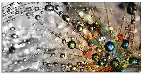 ARTland Wanddeko Glasbilder Wandbild Glas Bild einteilig 100x50 cm Querformat Natur Botanik Blumen Pusteblume Frühling Wassertropfen Modern T9IN