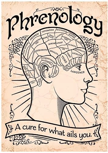 Laminiertes Mini-Poster Phrenology What Ails You