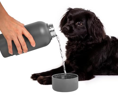 Ubbi Borraccia in acciaio inox isolata portatile da 32 once per cani e proprietari con ciotola per cani attaccata, carbone