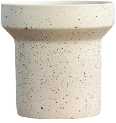Colcolo Flowerpot Flower Vase Floral Arrangement Container Delicate Planter Decorative Vase for Front Door Tabletop Indoor Plants