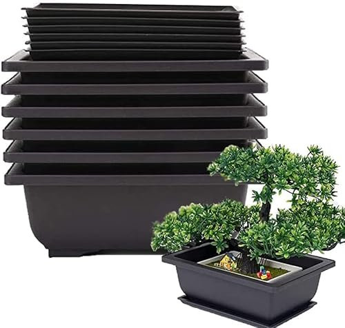 Roundsky Macetas para bonsái de 6 Piezas, Bandeja húmeda clásica Profunda integrada para Plantas, Hierbas, macetas cuadradas de plástico