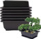 Roundsky Lot de 6 pots à bonsaï - Plateau humide profond classique avec filet intégré pour plantes, fleurs, pots carrés en plastique