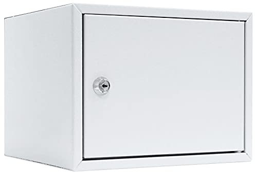 Profirst Wertfach Kaisten 2 Zylinderschloss Lichtgrau Stahl BxH 250x190 mm 1 Fachboden inkl. Befestigungsmaterial