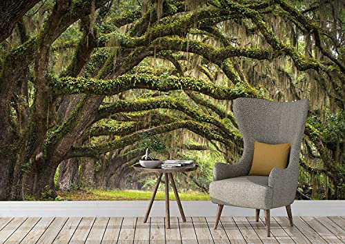 Oedim Fotomural Vinilo Adhesivo Bosque Místico, 350x250cm, Vinilo Adhesivo Decorativo para Habitaciones, decoración para Paredes.