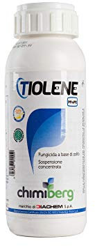 CHIMIBERG Tiolene PFnPE Fungicida Biologico Zolfo Liquido Anti oidio, ticchiolatura, Bolla, Senza Patentino 500ml