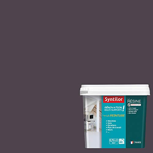 Syntilor - Peinture De Rénovation Multi-Supports Gris Graphite Satiné 0,75L