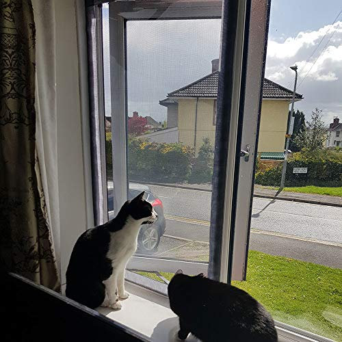 Flat Cats window screens - Single Pack - Selection of sizes (60cm x 100cm, Grey Mesh/White Fixings)