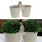 Cepewa Übertopf Doppelt 2 Töpfe verbunden mit Henkel │ Stahlblech verzinkt 27,5x19x14cm weiß │ Topf für Blumen Kräuter Pflanzen (1 x Übertopf doppelt weiß Ø14cm)