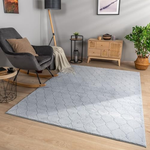 TT Home Wohnzimmer Teppich Esszimmer Kurzflor Geometrische Optik Skandi Boho Unifarben, Farbe:Hellgrau Grau, Größe:80x150 cm