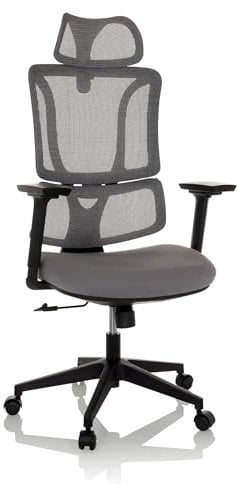 MyBuero Drehstuhl ergonomisch ERGOMY Bürostuhl mit Verstellbarer Lordosenstütze, Kopfstütze, Armlehnen, Netz-Rückenlehne, Stoff Grau