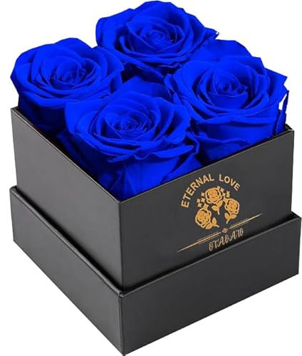 OTAOATO Flowers for Delivery Prime - Rosen in einer Box - Frische Blumen - Forever Rose - Geburtstagsgeschenke für Frauen - konservierte Rosen Geschenke für Mama/Freundin/Frau/Oma