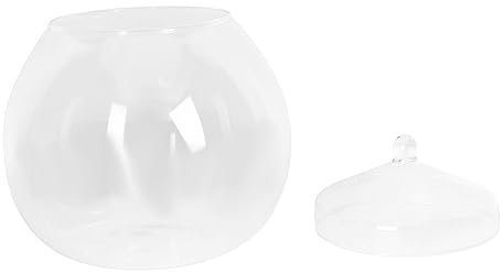VANZACK 1 Satz Ökologische Mikrolandschaftsflasche Im Freien Tank Aquarium Terrarienschale Mit Deckel Teich Kanister Halter Uv Saftig Reiniger Solar- Blumenzwiebel Pflanzer Stand Glas
