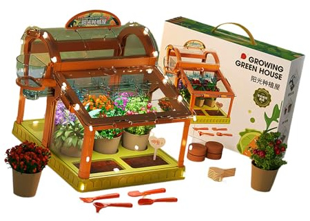 LED Greenhouse, Equipped with Acrylic Panels, can be Used for Educational and Fun Plant Growth Experiments.