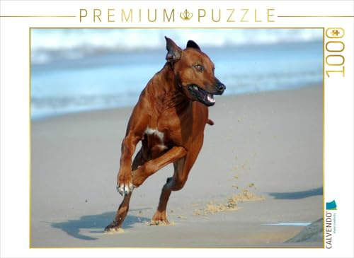 CALVENDO Puzzle EIN Motiv aus dem Kalender Rhodesian Ridgebacks in Aktion | 1000 Teile Lege-Größe 64 x 48 cm Foto-Puzzle für glückliche Stunden