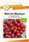 Miel du Mexique BIO Tomatensamen von Bobby-Seeds Portion