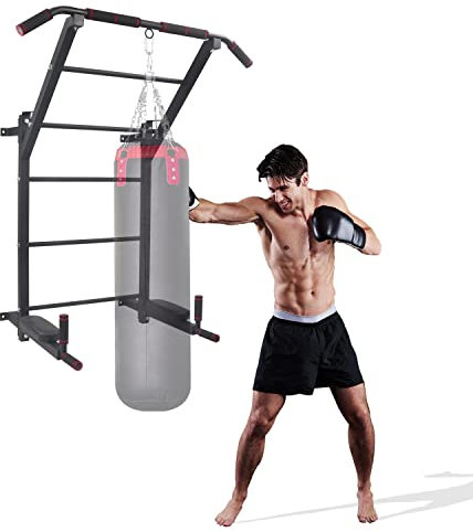 NEWAN Wall Mounted Pull Up Bar,Physical Therapy & Gymnastics Ladder w/6 Strategic Rods with More Stable 6-Hole Design,for Multi-Function Home Gym Workout Equipment(Maximum Weight 440 Lbs)