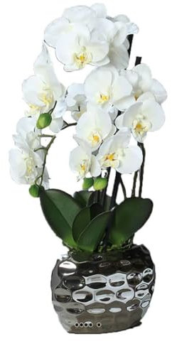 Künstliche – Orchidee Künstliche 3 hampes Topf Keramik silber H 55 cm creme – Farbe: creme