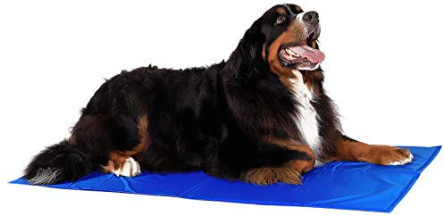 lionto Kühlmatte für Hunde & Katzen, selbstkühlende Haustiermatte sorgt für Erfrischung an warmen Tagen, 120x80 cm, Faltbare Kühldecke ohne Strom, Kühlung durch Körperkontakt, leichte Reinigung, blau