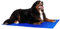 lionto Kühlmatte für Hunde & Katzen, selbstkühlende Haustiermatte sorgt für Erfrischung an warmen Tagen, 120x80 cm, Faltbare Kühldecke ohne Strom, Kühlung durch Körperkontakt, leichte Reinigung, blau