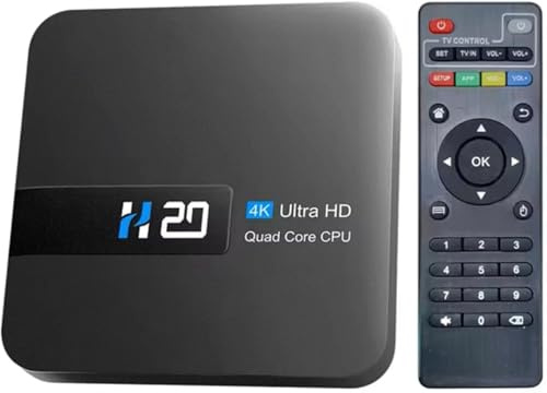 TV Box Android 10 2 GB RAM 16 GB ROM Allwinner H313 Quad Core Arm Cortex A53 Mali-450MP2 Presa di ricarica Decodifica video HD 4K Scheda TF WiFi 2.4G USB 2.0