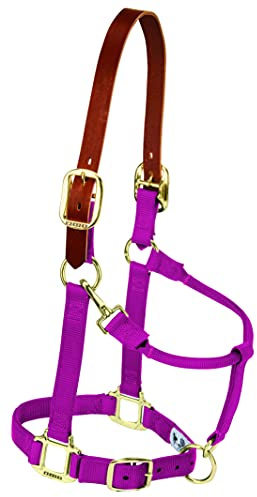 Weaver Leather Nylon Adjustable Breakaway Horse Halter, Average, Raspberry