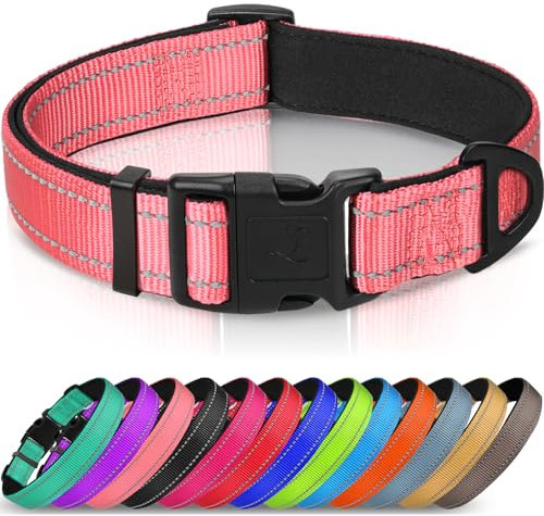 Joytale Collier pour Chien en Nylon avec Bande Réfléchissante,Collier Rembourré Classique pour Extra Grande Chien,Rose,XL