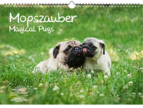 Mopszauber Immerwährender Kalender DIN A3 Mops Hunde und Welpen - Seelenzauber