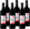 Ché - Vin d'Argentine Mendoza - Syrah - Vin Rouge - Lot de 6 bouteilles x 75cl