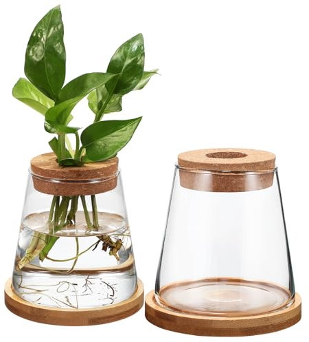 Happyyami 2pcs Plants Propagation Station Glass Plant Terrarium Planter Planting Glass Vase for Hydroponic Growing Home Office Table Decor
