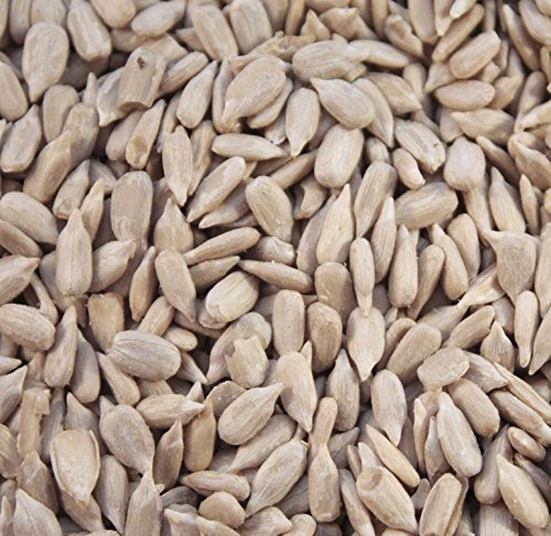 20kg Sunflower Hearts wild Bird Food – High Energy Bird Seed, Premium Sunflower Seeds & Food for Wild Birds (20kg)