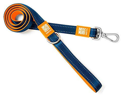 Max & Molly Ultra sichere und Bequeme gepolsterte Neopren-Sport-Hundeleine mit reflektierenden Außennähten, Matrix Orange, Größe M
