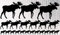 HR-WERBEDESIGN 23x Auto Aufkleber Hirsch, ELCH Elchaufkleber, Sticker Schweden, Auto, Dog, Cat