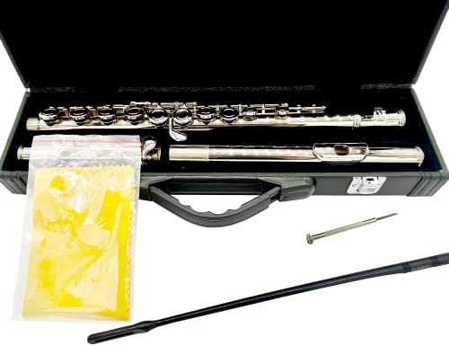 TEACHER APPROVED! Carolina Winds Intermediate Flute (cw401flt) Silver