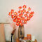 Fantasee Ahornblatt-Zweig-Lichter, 20 LEDs künstliche Astlichter batteriebetrieben Flexibler Zweig Dekorationslichter für Zuhause, Schaufenster, Vase, Hochzeit, Weihnachten (2 Packungen, Ahornblatt)