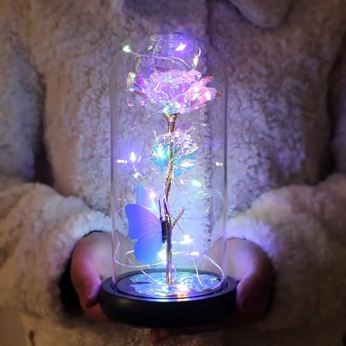 Qtuie Rose Eternelle sous Cloche Lumineuse Fleur éternelle Cadeau pour Femme Maman Mère Grand-mère, Cadeaux de Fleurs de Roses pour Anniversaire,Mariage,Noel,La Saint-Valentin,Fête des Mères (Coloré)
