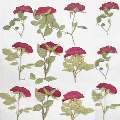 DoraMagic 12Pcs Nauture Dried Pressed Flowers, Real Dried Pressed Rose for Resin Scrapbook Supplies Card DIY Art Crafts (Red)