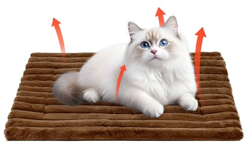 Votoko Selbstheizende Decke für Katzen & Hunde, Katzenbett Waschbar, Wärmedecke Katze, Selbstwärmende Katzendecke, Hundedecke rutschfest Unterseite Hundebett Kleine Hunde Katzen (61x45 cm)