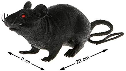 ATOSA Ratte - Käfer und Tiere