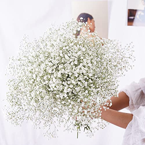 YIWOYI Natürliche Trockenblume, Schleierkraut, frisch getrocknet, konservierte Blumen, Schleierkraut, Blumensträuße für Hochzeit, Party, Heimdekoration (weiß, 40–55 cm, 80 g)