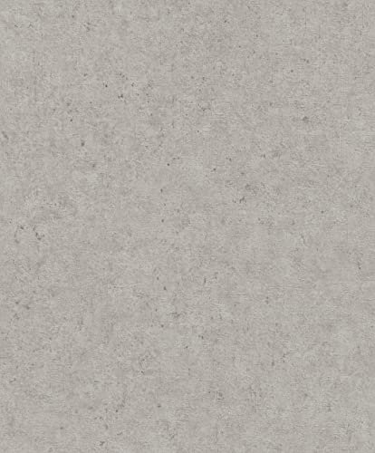 Rasch Tapeten Vliestapete (universell) Grau 10,05 m x 0,53 m Concrete 520866